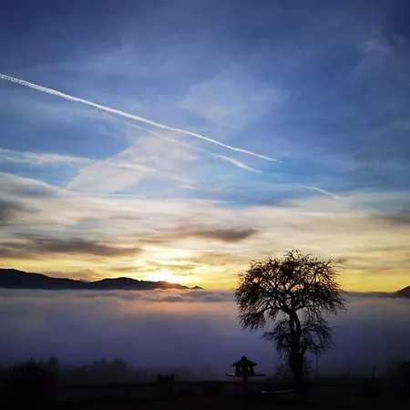 Familienhof Kain Tiefgraben