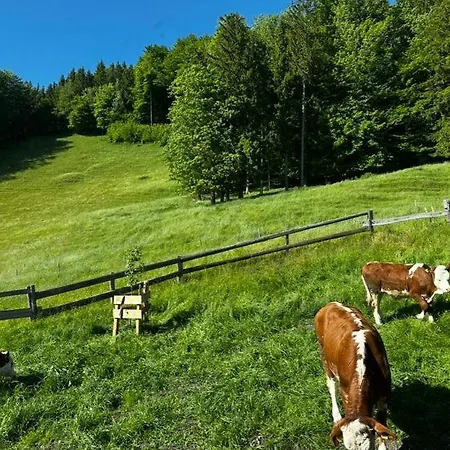 Familienhof Kain * Tiefgraben