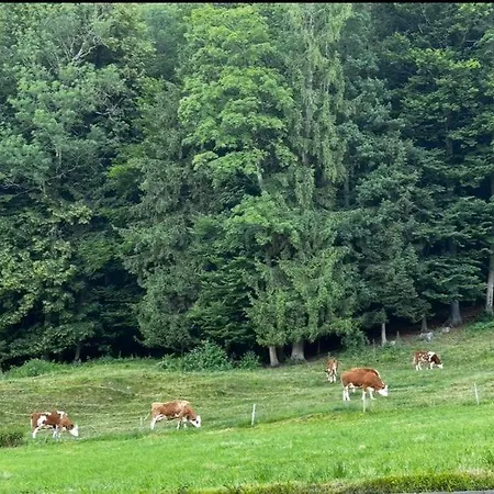 Familienhof Kain Apartment *