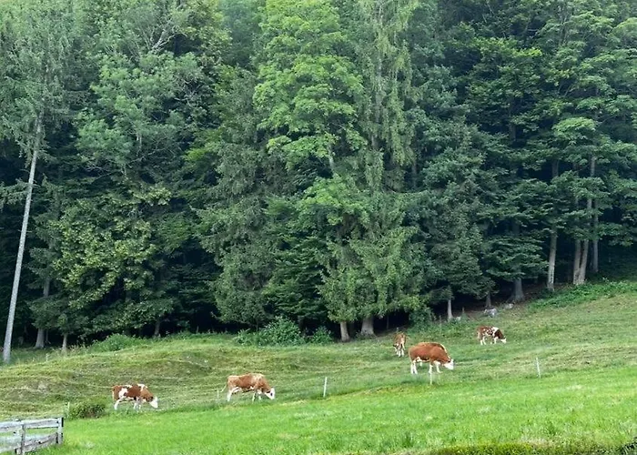 Familienhof Kain 아파트 *