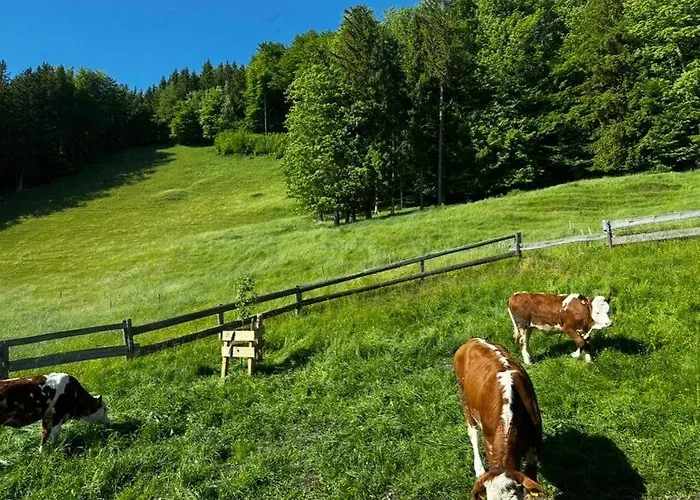 Familienhof Kain * Tiefgraben